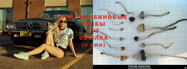 дмт Аксай
