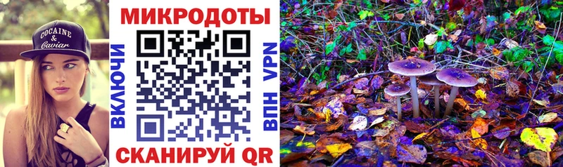 купить закладку  Урюпинск  Псилоцибиновые грибы Psilocybe 